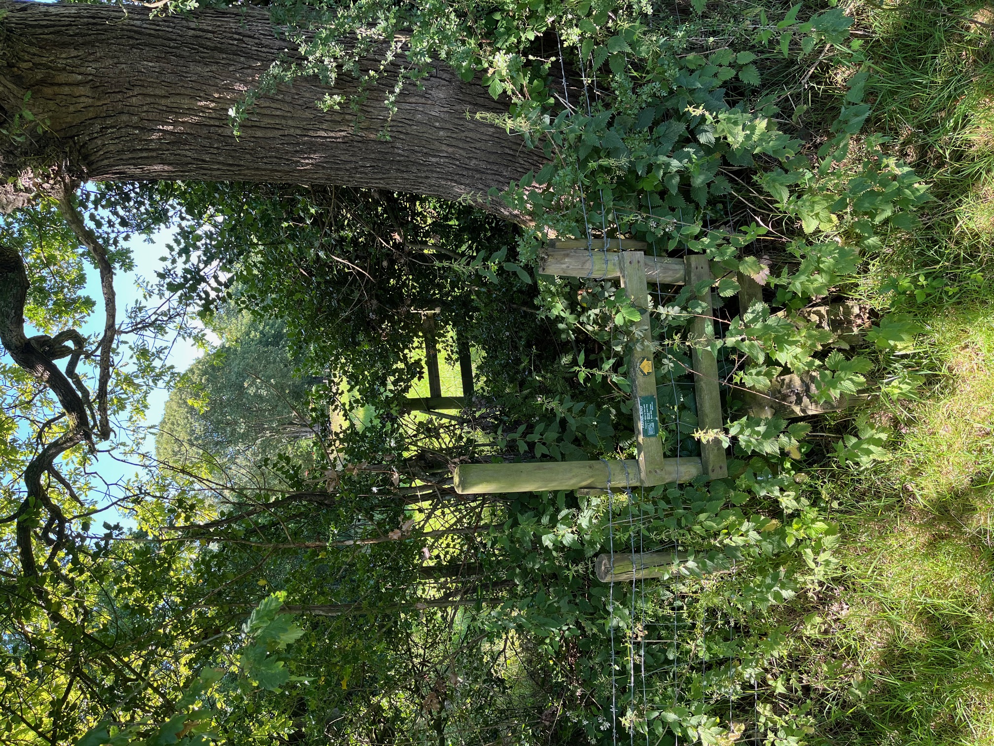 New metal gate installation next to a pond.