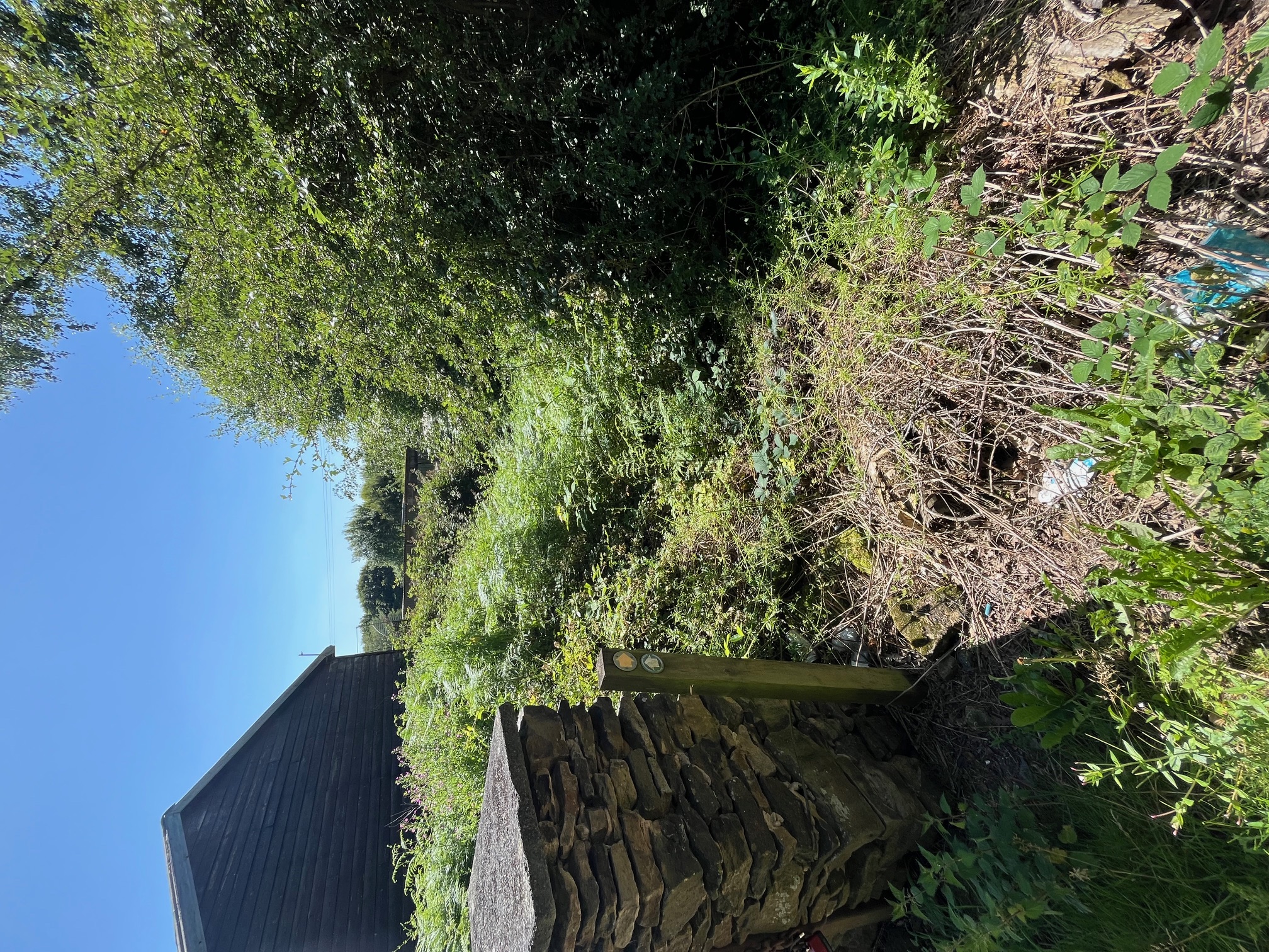 New metal gate installation next to a pond.